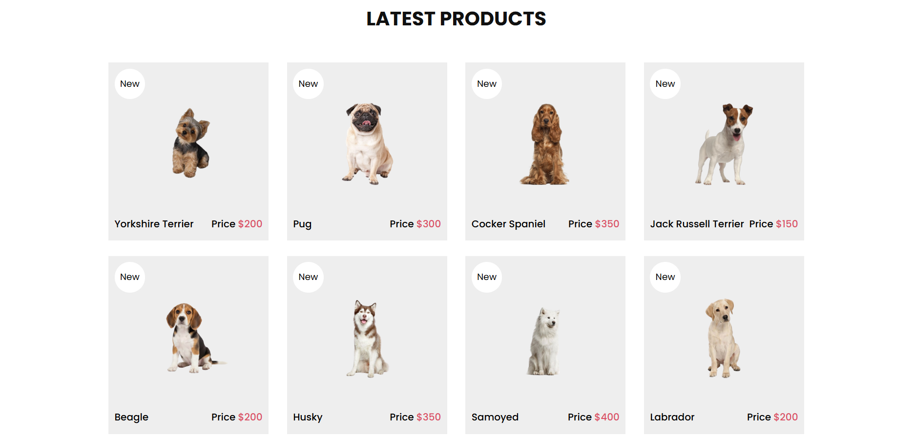 Dog Store